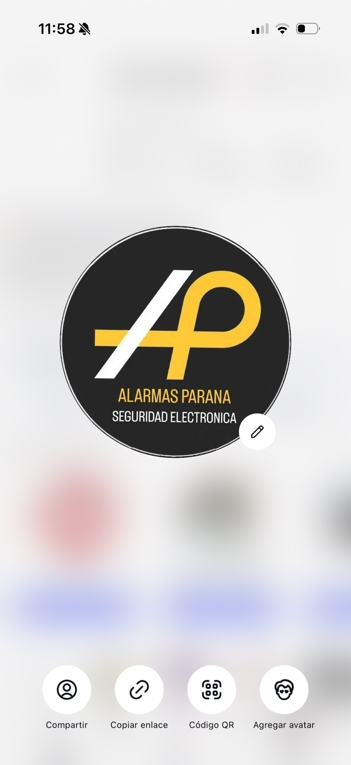 Logo AP Alarmas Paraná